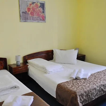 Flamingo Pensionat Braşov