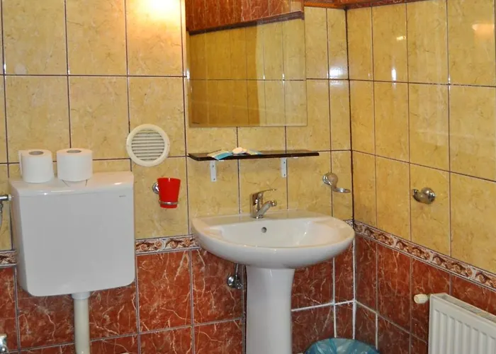 Flamingo Guest house Brasov