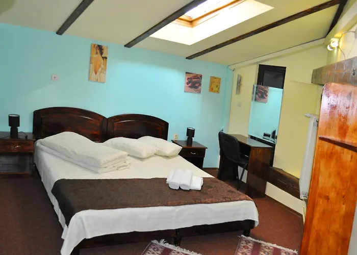 Flamingo Guest house Brasov