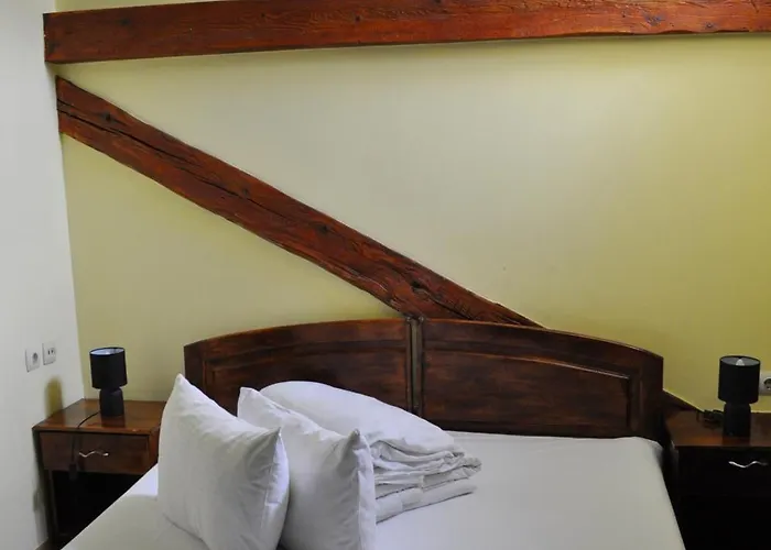 Guest house Flamingo Brasov