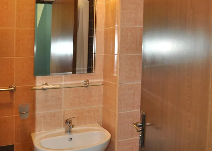 Guest house Flamingo Brasov